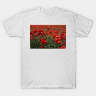 glowing red corn poppies together T-Shirt